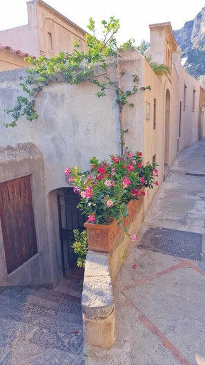 Una calle estrecha con un edificio que tiene una maceta de piedra con flores rosadas y plantas trepadoras.