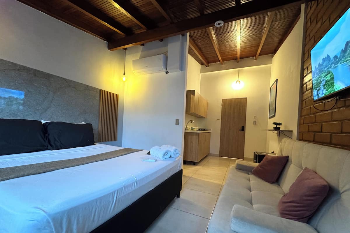 Une chambre avec un lit, un canapé, une télévision et un coin cuisine.