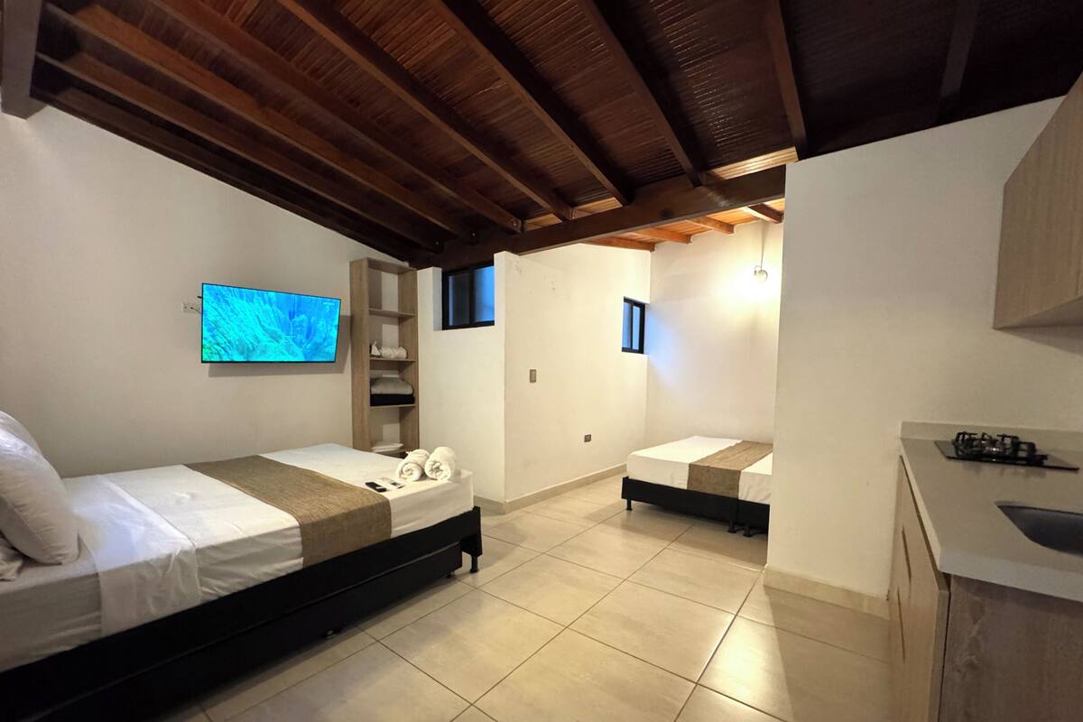 Une chambre avec un lit, une télévision, un petit coin cuisine et un plafond en bois.