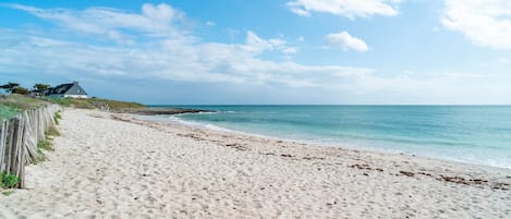 Nära stranden