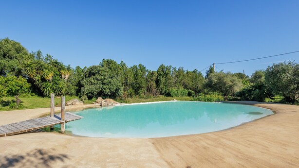 Una piscina azul cristalina con muelle de madera y una zona de playa arenosa, rodeada de exuberante vegetación.