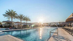 A pool area with sunlit water, palm trees, and lounge chairs.