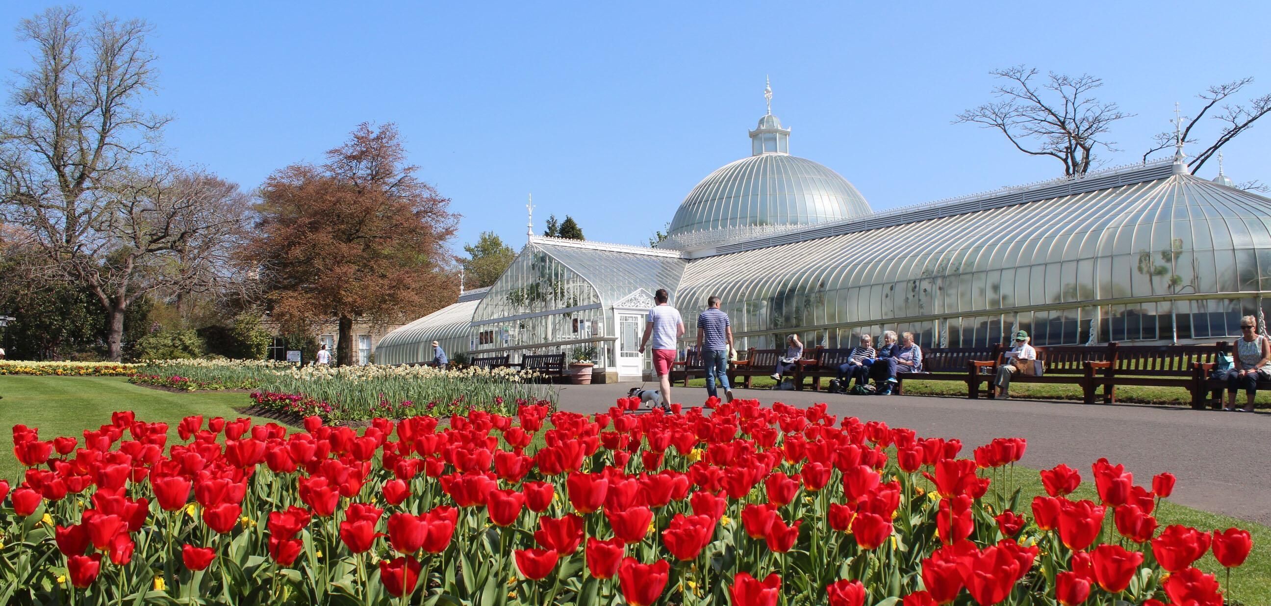 Une serre à structure en forme de dôme, entourée de tulipes rouges et dotée de bancs pour les visiteurs.