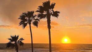 A beach scene with palm trees and a lifeguard tower. - Manhattan Beach Beachfront Charming On The Strand (Manhattan Beach)