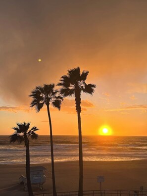 A beach scene with palm trees and a lifeguard tower. - Manhattan Beach Beachfront Charming On The Strand (Manhattan Beach)