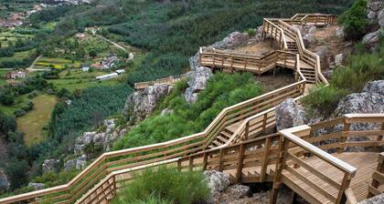 Cabin in the Forest - A Perfect Refuge in Nature