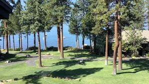 A grassy area with tall trees and a body of water in the background. - Brockway Springs Lake View Unit- #30 (Kings Beach)