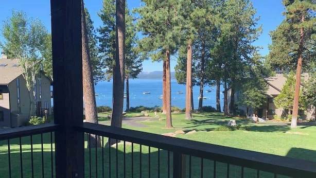 A residential area with a grassy lawn, tall trees, and a view of a body of water. - Lakefront Condo in Kings Beach-#33 (Kings Beach)