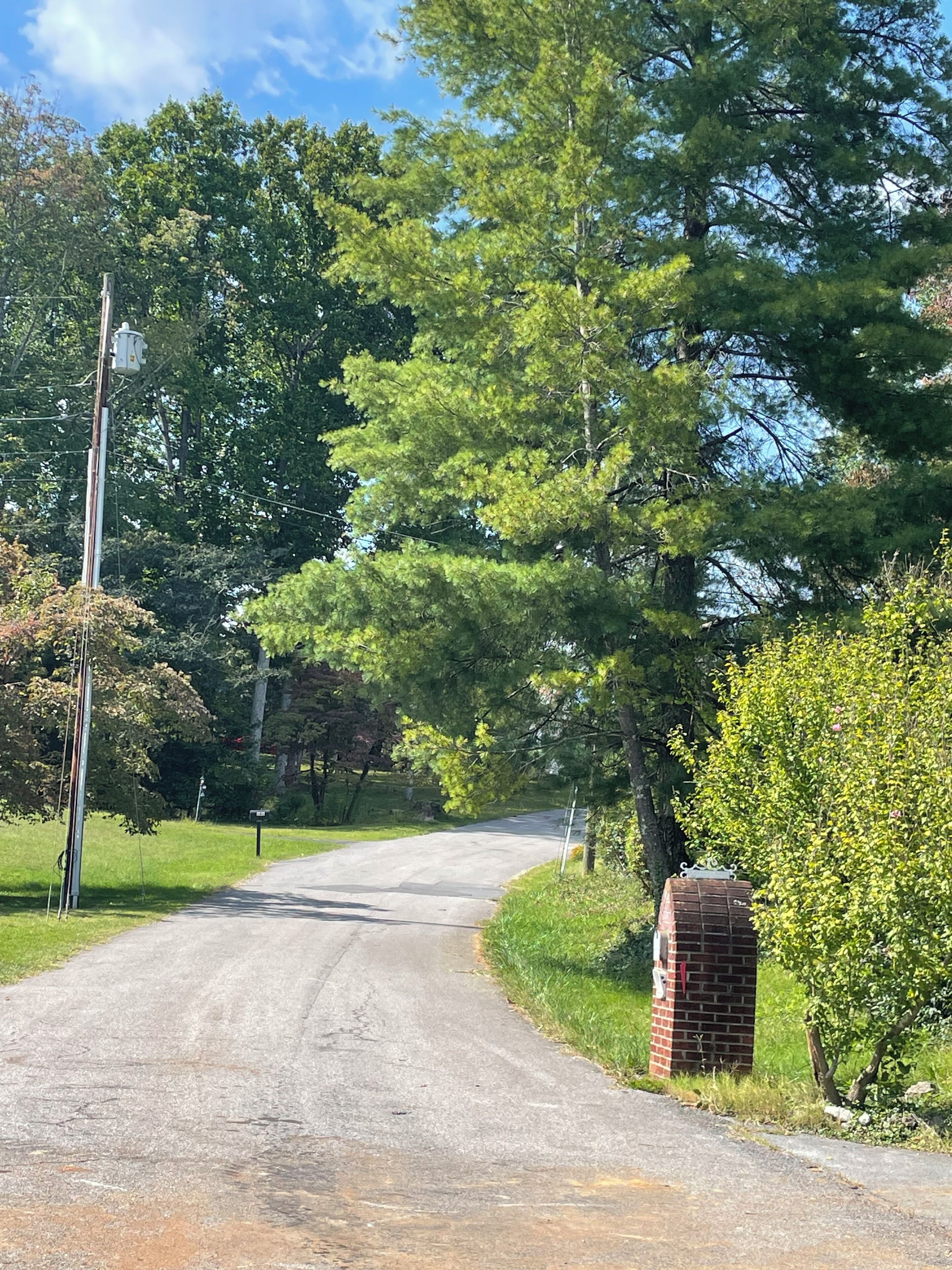 Une route de campagne bordée d’un côté et de l’autre par un pilier en briques et une végétation luxuriante.