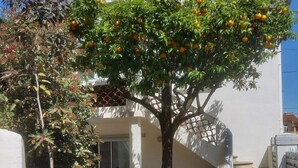 A house with a tree bearing fruit in the yard. - Very quiet family home a stone's throw from the town center. (Perpignan)