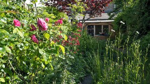 Un jardin avec des rosiers roses, un chemin de pierres et un bâtiment en arrière-plan.