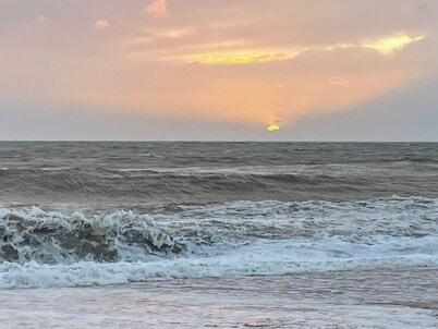 A beautiful comfortable cottage in the centre of Bridport. 