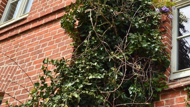 A red brick building with arched windows and a corner with ivy and purple flowers. - Complete guesthouse on the Finow Canal (former school from 1875) for 12 people (Wandlitz)