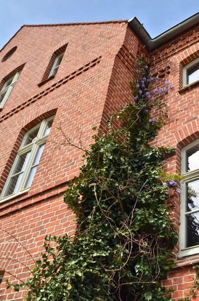 Complete guesthouse on the Finow Canal (former school from 1875) for 12 people