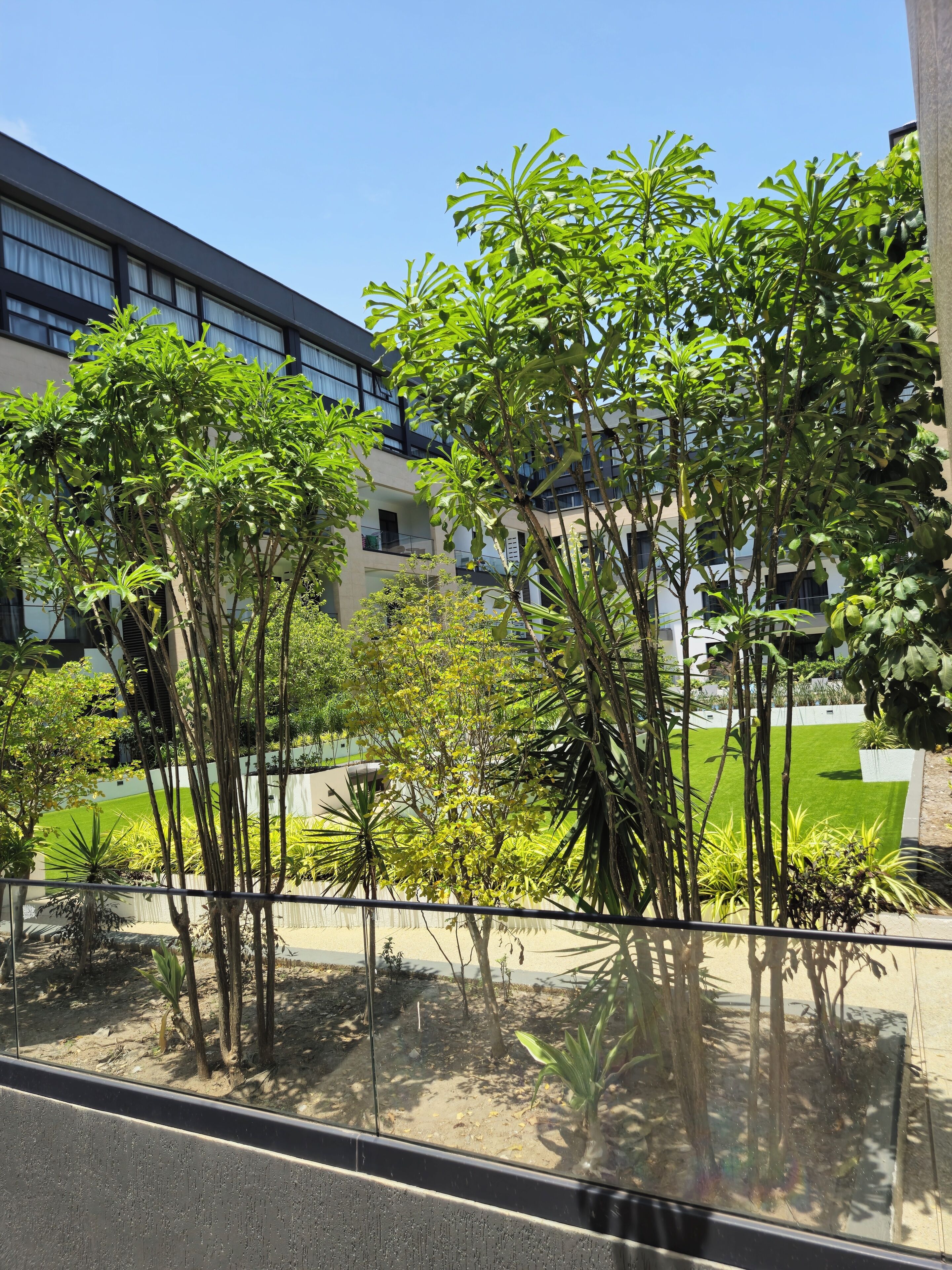 开间套房, 花园景观 | 住宿场地