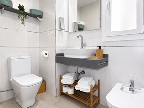 Chuveiro, secador de cabelo, bidê, papel higiênico