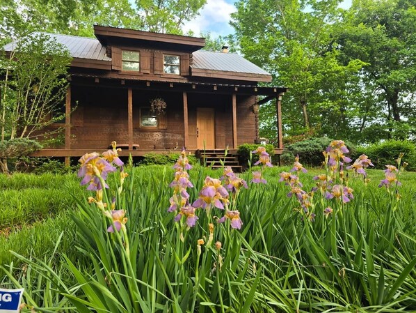 Exterior detail - Cozy 2-bedroom cabin within National Park with stunning lake view! (New Concord)