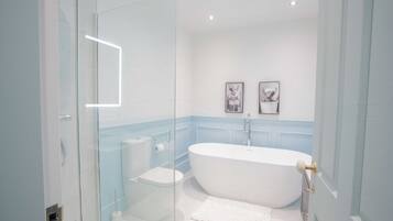 Shower, hair dryer, towels, toilet paper