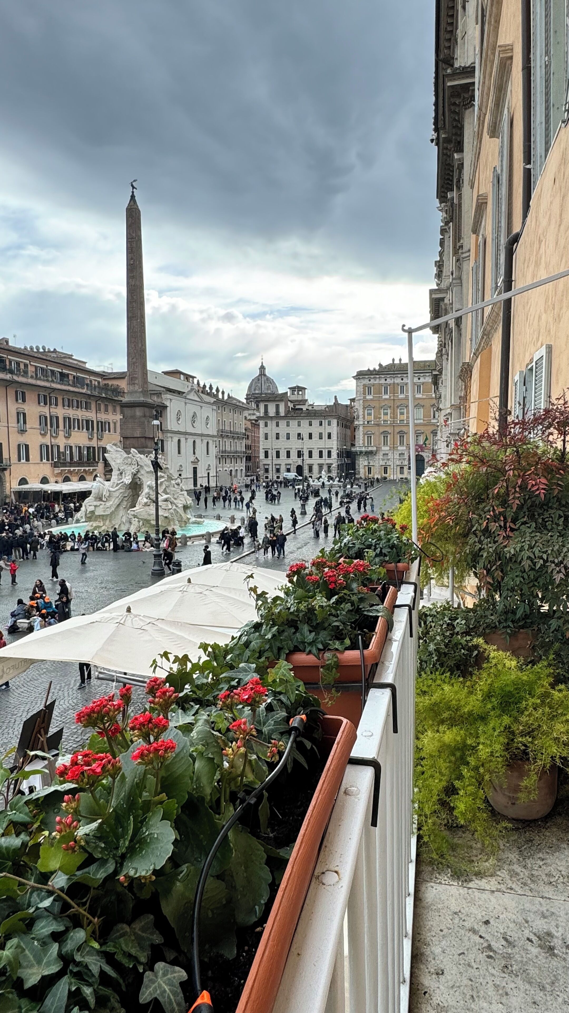 A balcony with potted plants and a view of a public square with historical buildings and an obelisk.
