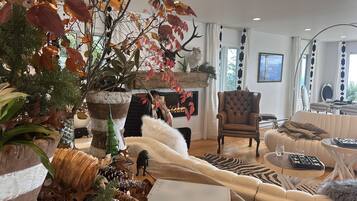 DVD player, books, video library