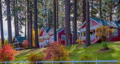 Sophisticated Remodel, Single Level, Fenced Yard