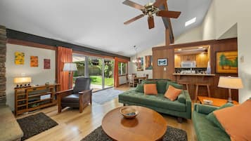 Smart TV, lareira, livros