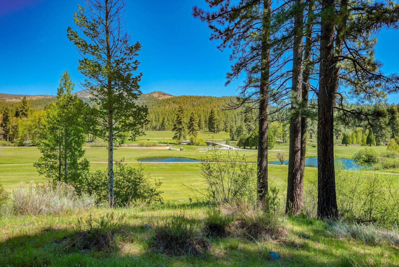 Un campo de golf con un estanque, rodeado de árboles y un cielo azul despejado.