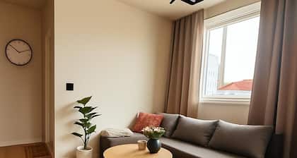Modern apartment right in the city center