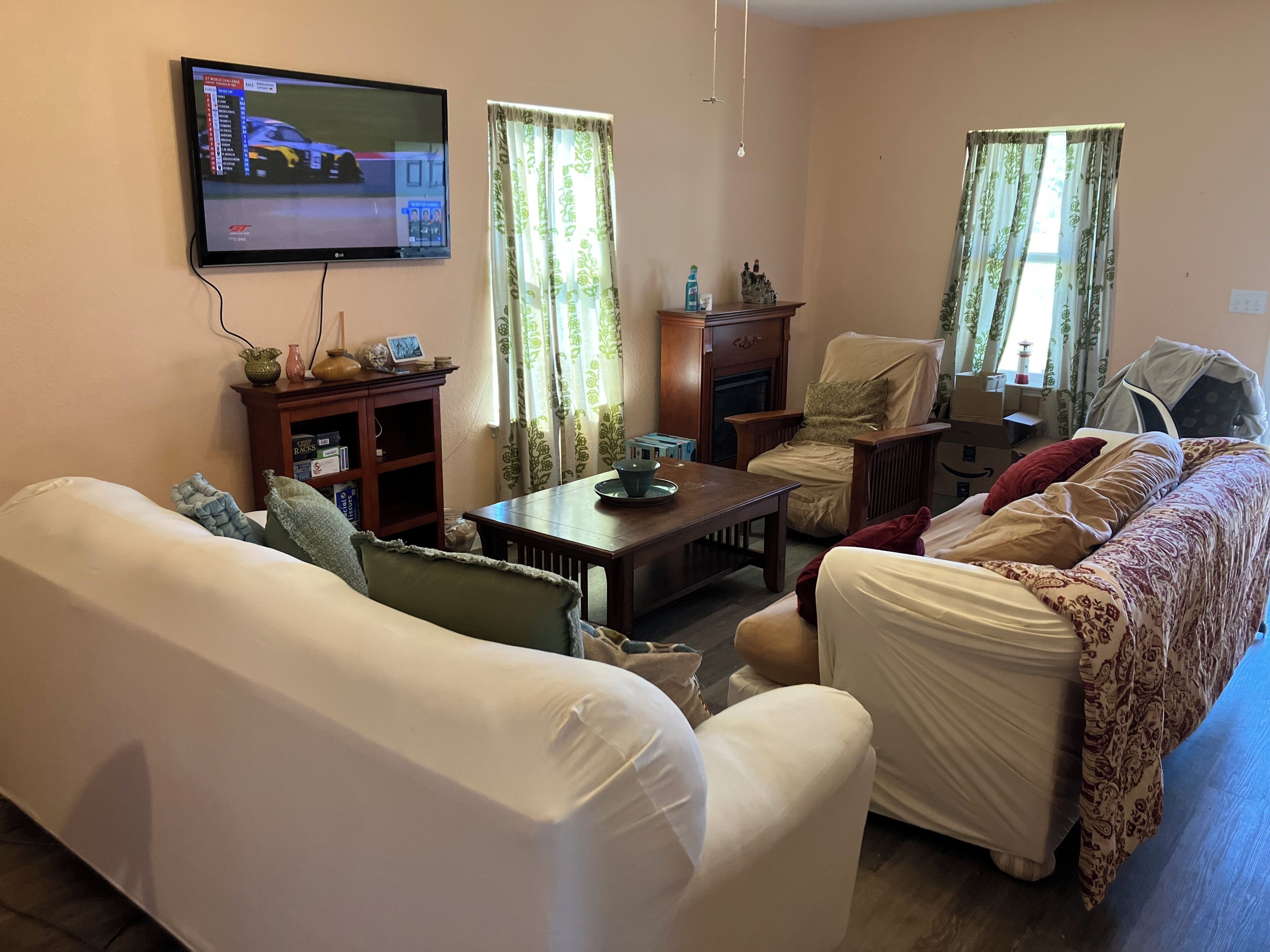 TV connectée, cheminée, lecteur de DVD, livres