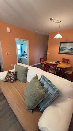 Smart TV, fireplace, DVD player, books