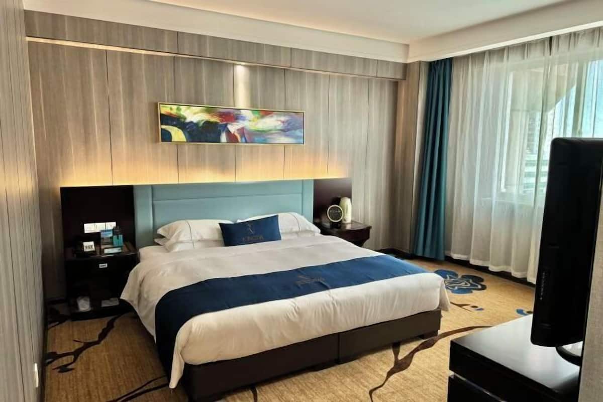 Une chambre d’hôtel avec un grand lit, un téléviseur à écran plat, une table de chevet avec une lampe et une fenêtre avec des rideaux légers.