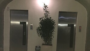 An elevator area with two elevators, a trash bin, and a potted plant.