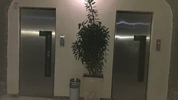Parte interna