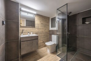 Secador de cabelo, toalhas de banho, papel higiênico 