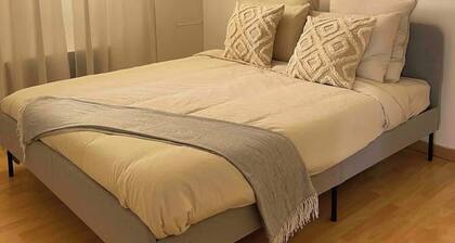 Le Priest - Quiet, north hospital, medical school