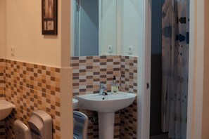 Rainfall showerhead, hair dryer, soap, shampoo - ROX Madrid (Madrid)