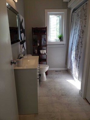 Hair dryer, soap, toilet paper