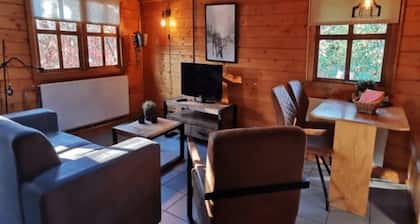 Chalet in Veluwe Near Hoge Veluwe Park