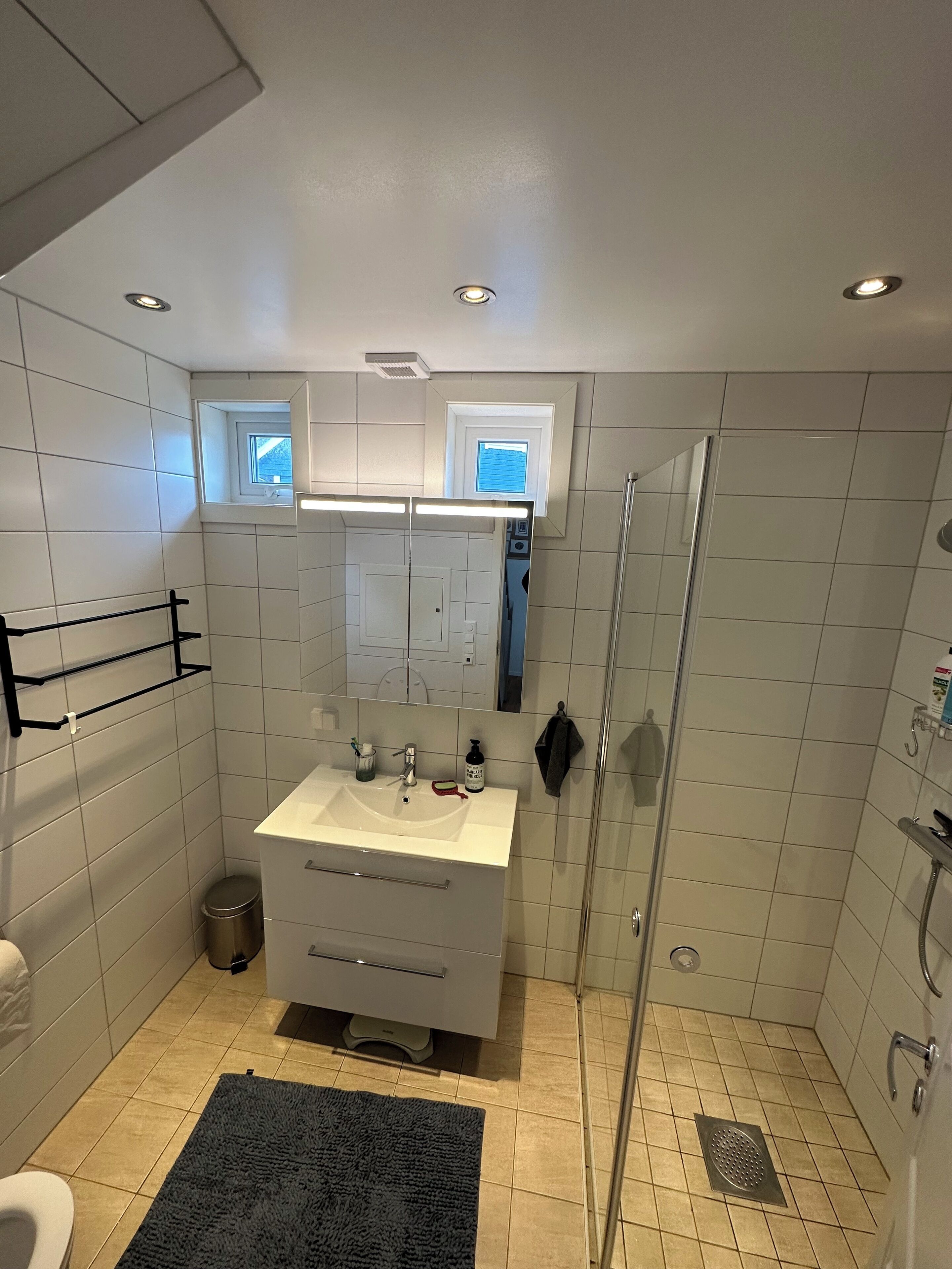 Dusj, toalettartikler (inkludert), hårføner og håndklær