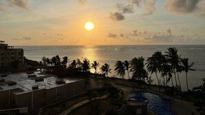 Un complexe hôtelier doté d’une piscine, offrant une vue sur l’océan et bordé de palmiers.