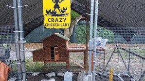 A chicken coop with a sign reading "Area Patrolled by Crazy Chicken Lady."