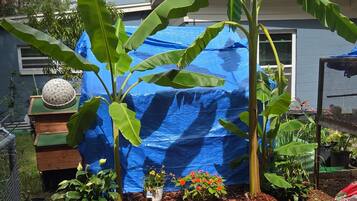 Een tuin met bananenbomen, een blauwe zeildoek en een houten terras.