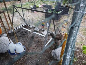 Miscellaneous - Charming tiny backyard home in Orlando with WiFi and AC. Only Animal lovers! (Orlando)