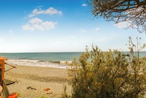 A beach with a clear sky, a sandy shore, and some vegetation.