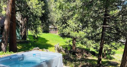 The Sequoia Time Capsule: Spa, Walk 2 Giant Sequoias, River, Fish, Bike, Saloon