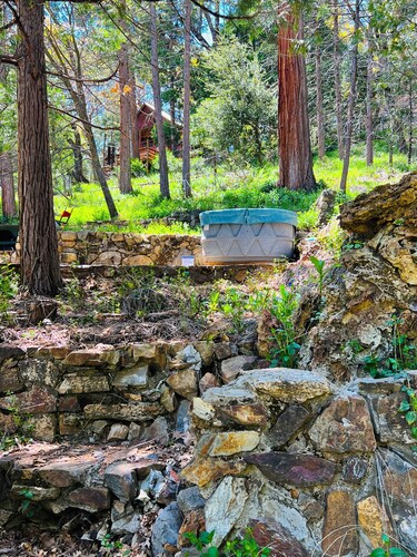 The Sequoia Time Capsule: Spa, Walk 2 Giant Sequoias, River, Fish, Bike, Saloon