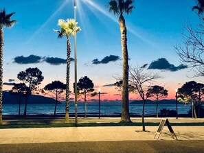 Un parque costero con palmeras, cielo despejado y un atardecer sobre el agua.