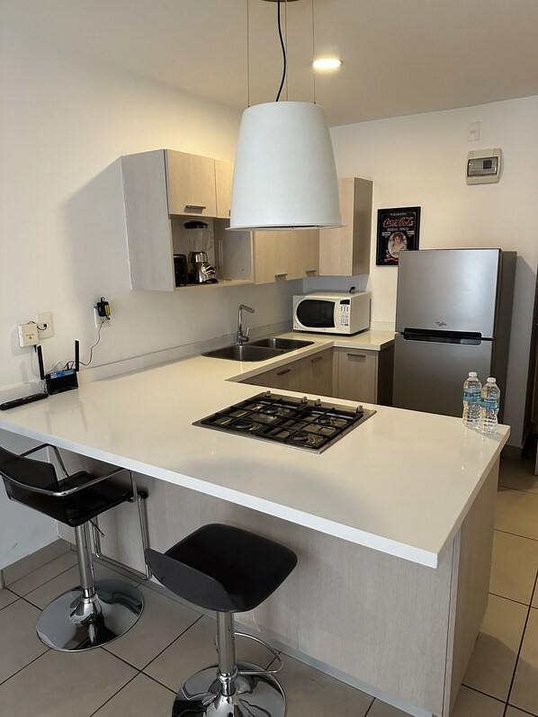 Appartement Deluxe, 1 lit double et 1 canapé-lit, non-fumeurs, vue ville | Cuisine privée | Grand réfrigérateur, micro-ondes, four, plaque de cuisson