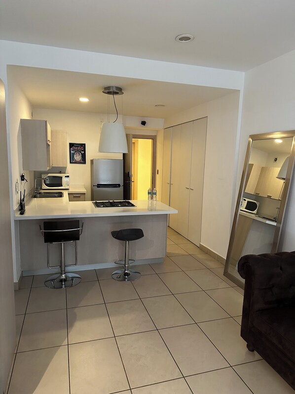 Appartement Deluxe, 1 lit double et 1 canapé-lit, non-fumeurs, vue ville | Cuisine privée | Grand réfrigérateur, micro-ondes, four, plaque de cuisson