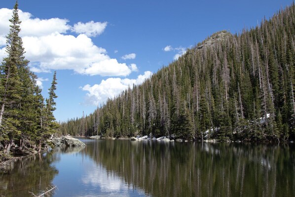 A calm river surrounded by dense coniferous forest.